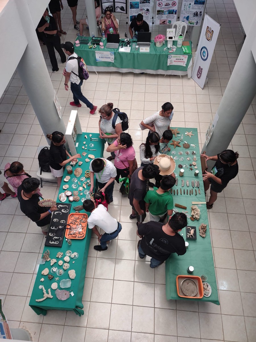 Exhibición de especímenes · UAM