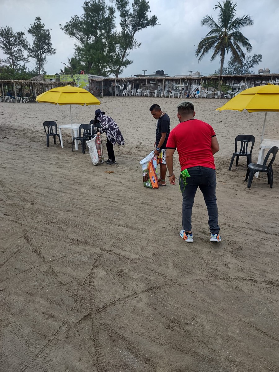 Jornada de limpieza de playa