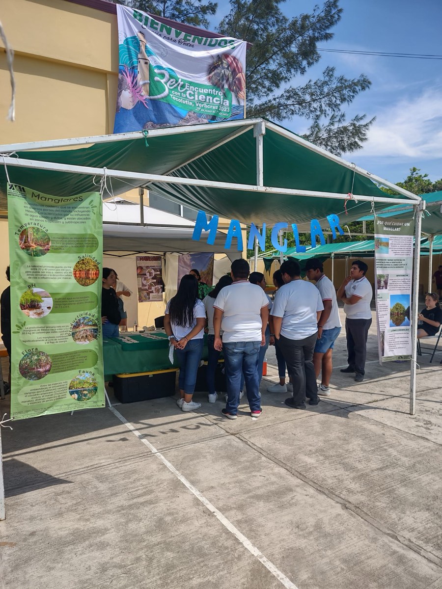 Stand “Manglar”