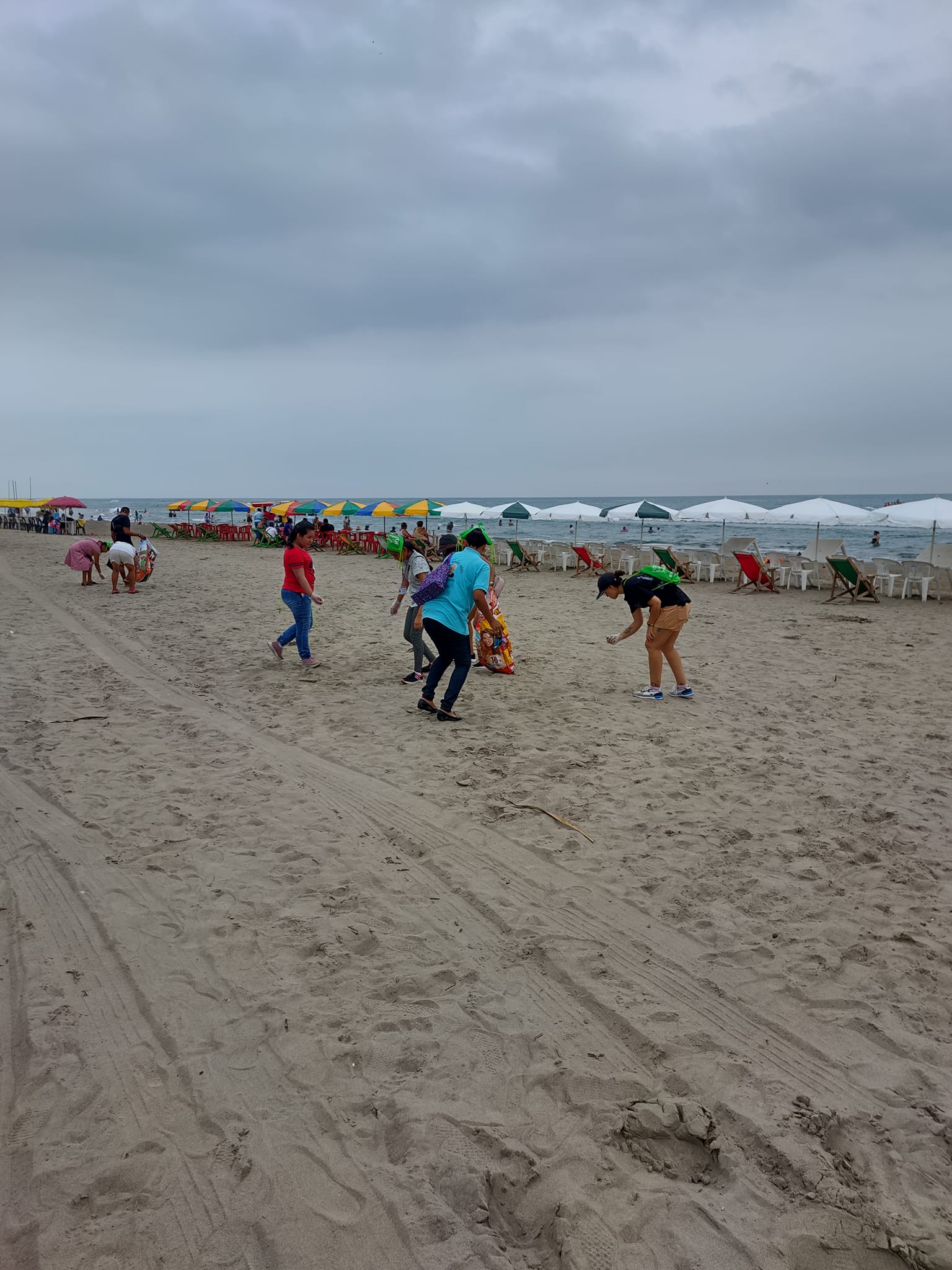 Monitoreo de playa