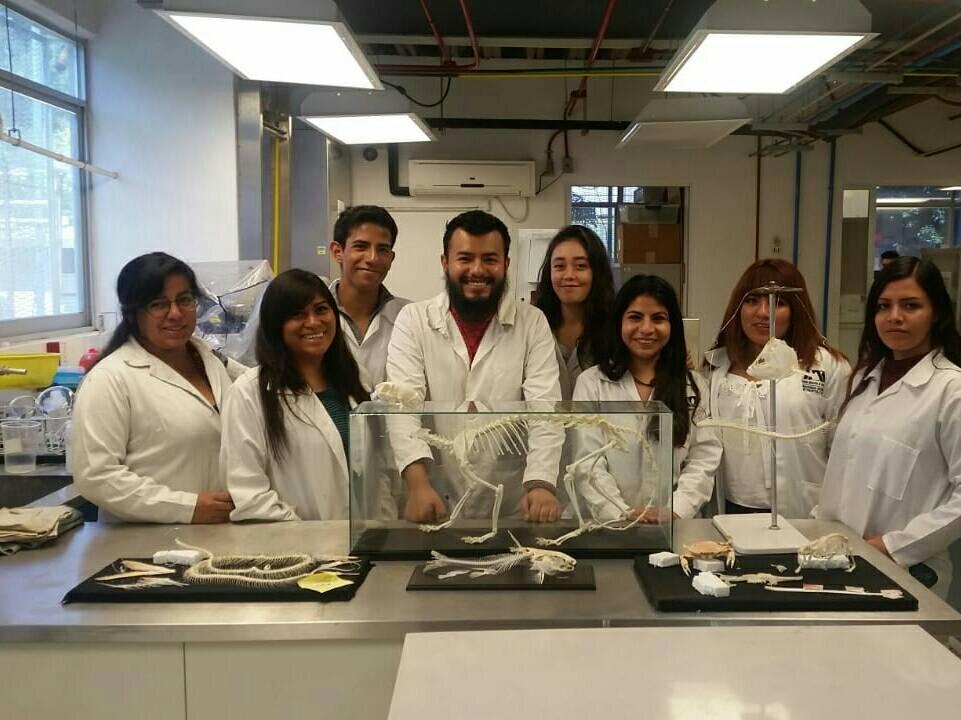 Estudiantes en práctica