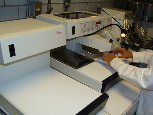Ensayos de toxicidad en laboratorio